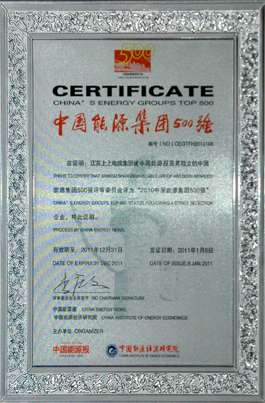 leyu荣获“2010中国能源集团500强”