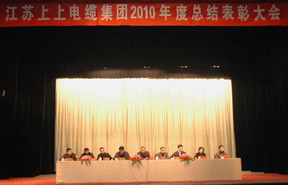 leyu隆重召开2010年度总结表扬大会