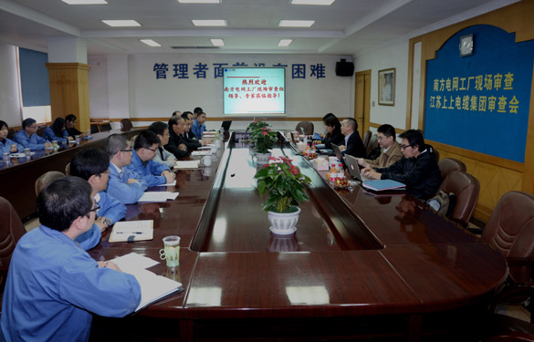 leyu电缆顺利通过南方电网公司工厂现场审查