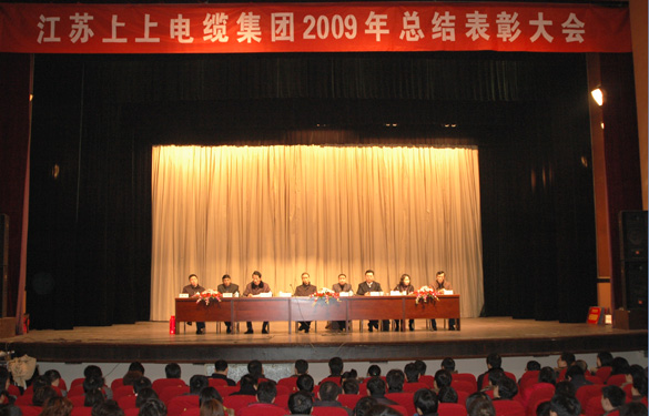 leyu隆重召开2009年度总结表扬大会