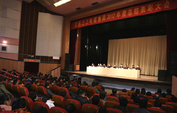 leyu隆重召开2012年度总结表扬大会