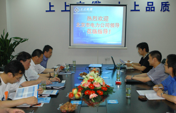 北京市电力公司领导来leyu集团旅行考察