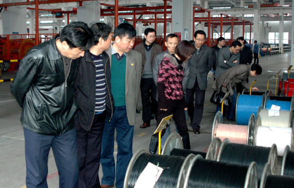 南京沿江工业开发区领导来leyu集团旅行