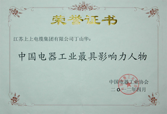 丁山华荣获“中国电器工业最具影响力人物”称呼