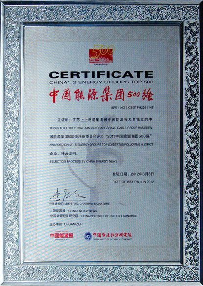leyu荣获2011年“中国能源集团500强”