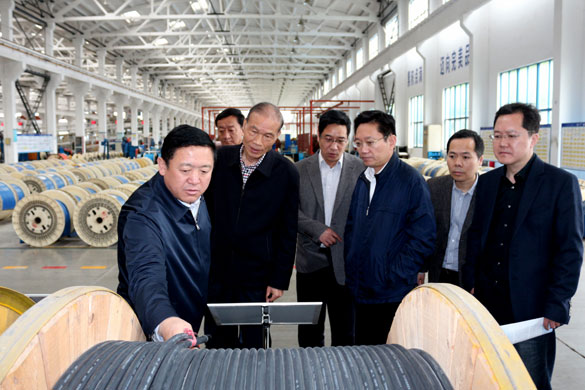 4月25日，青海省海南州州长来leyu电缆考察