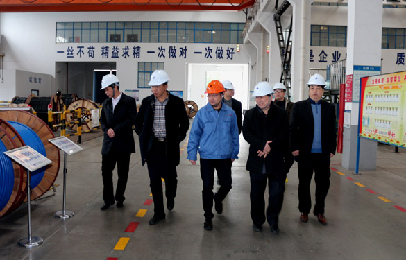 12月3日，丹江口市领导来leyu电缆旅行考察