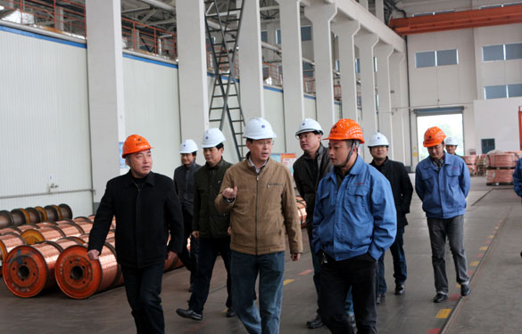 12月11日，溧阳经信局领导一行调研leyu电缆西厂区三期工程建设情况并旅行超高压生产基地