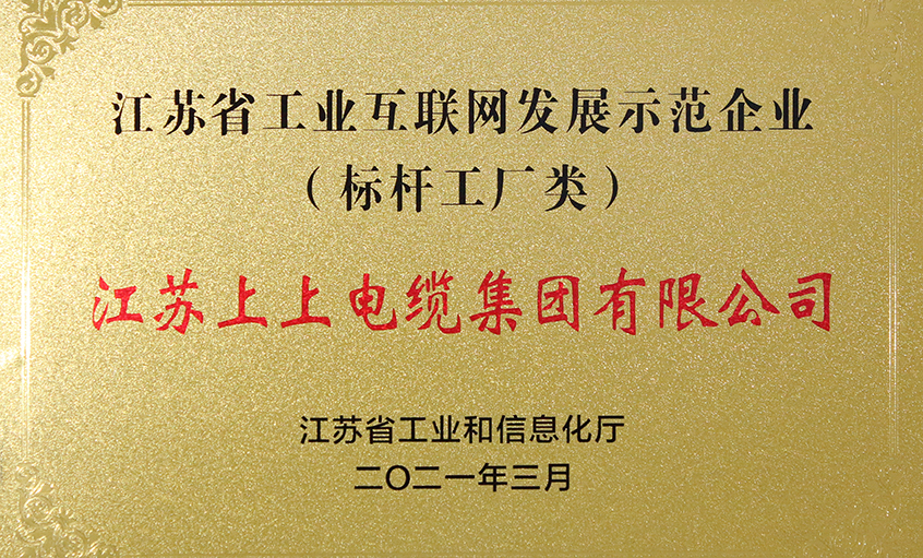 leyu电缆获评“江苏省工业互联网生长示范企业”