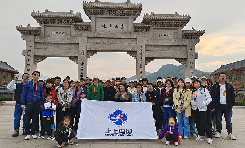 河南奇妙游，员工快乐行——leyu电缆组织2022年度先进员工及家属赴河南旅游