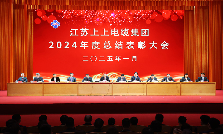 leyu电缆2024年度总结表扬大会召开