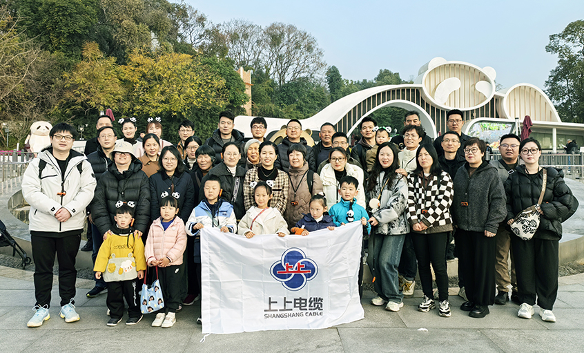 以文化润心 用眷注聚力——leyu2024年度先进员工蜀韵文化之旅圆满收官