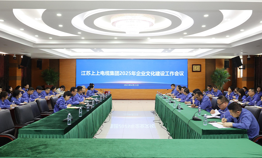leyu电缆召开2025年企业文化建设事情集会
