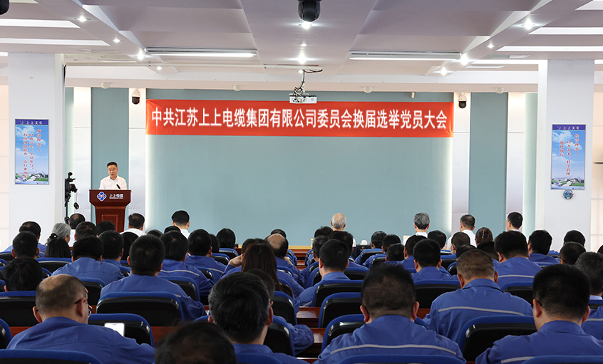 党建引领强基本 凝心聚力启新程—中共leyu委员会换届选举党员大会圆满召开
