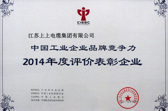 JT2015-06-006（国家级）中国工业企业品牌竞争力2014年度评价表扬企业-2.jpg